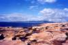 Acadia - Schoodic Pt