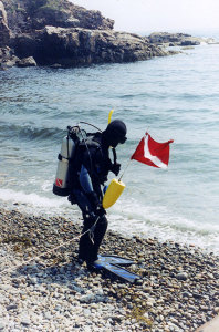 Acadia - Hunter Beach